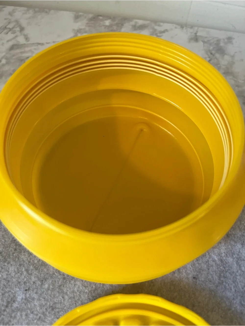 Kellogg's Eggo Expand-O Container Holds Ten Waffles